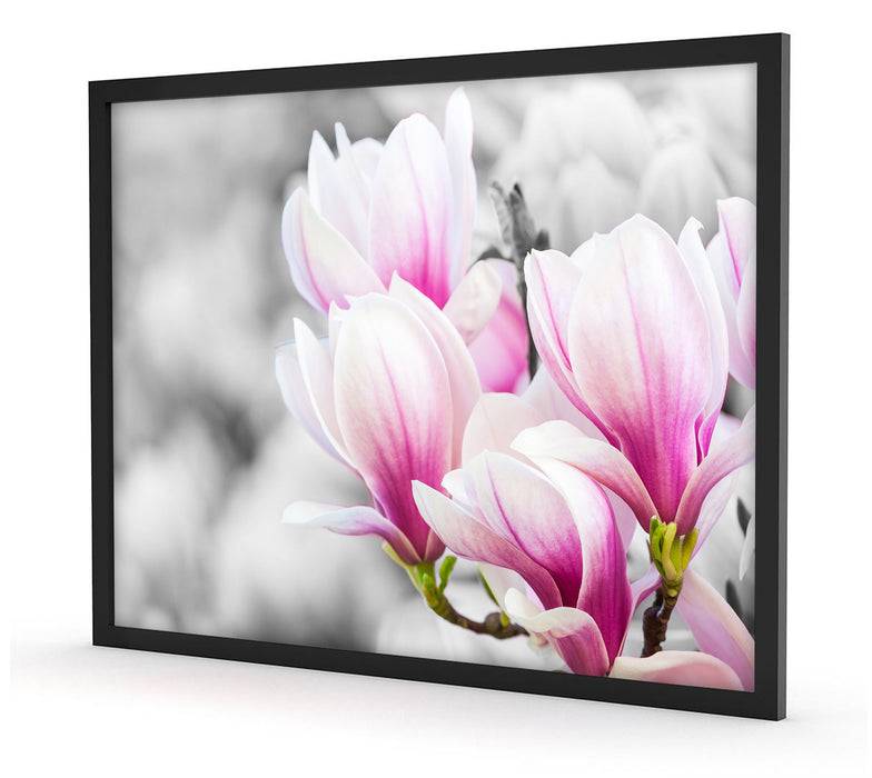 Pixxprint zarte rosa farbende Blüten, Poster mit Bilderrahmen Osterangebot