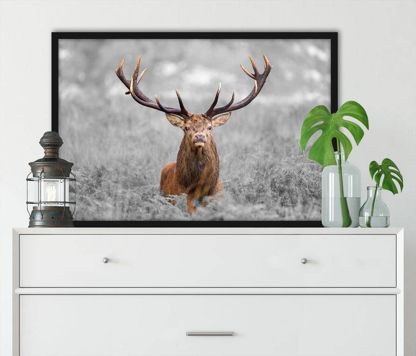 Pixxprint Großer Hirsch im Feld, Poster mit Bilderrahmen Vatertagsangebot
