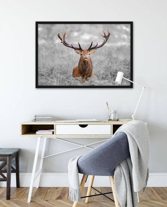 Pixxprint Großer Hirsch im Feld, Poster mit Bilderrahmen Vatertagsangebot