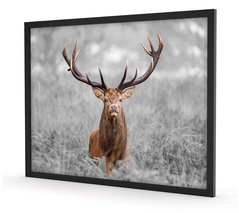 Pixxprint Großer Hirsch im Feld, Poster mit Bilderrahmen Vatertagsangebot