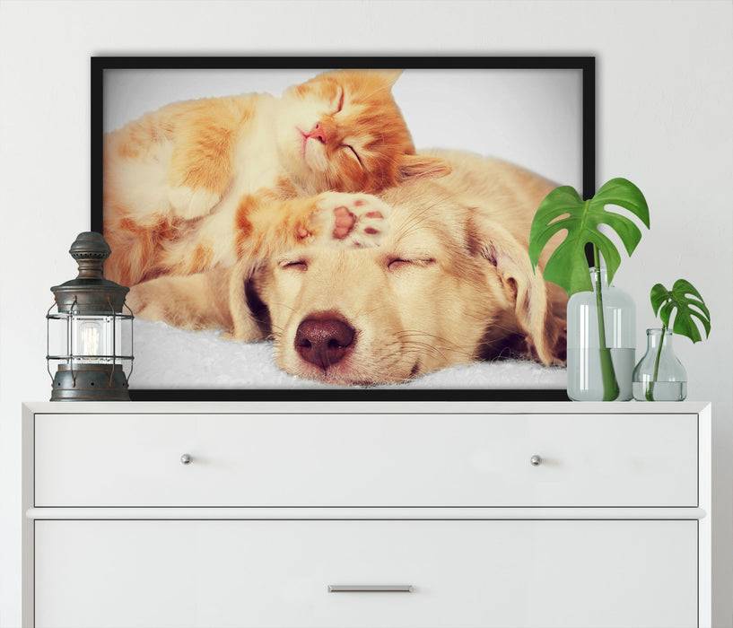 Pixxprint Kätzchen und Welpe schlafen, Poster mit Bilderrahmen Blitzangebot