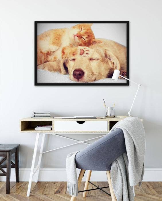 Pixxprint Kätzchen und Welpe schlafen, Poster mit Bilderrahmen Blitzangebot