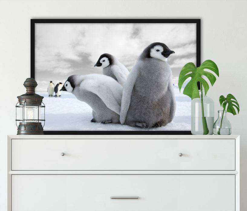Pixxprint Kaiserpinguin Gruppe, Poster mit Bilderrahmen Kauf eins, bekomm eins gratis
