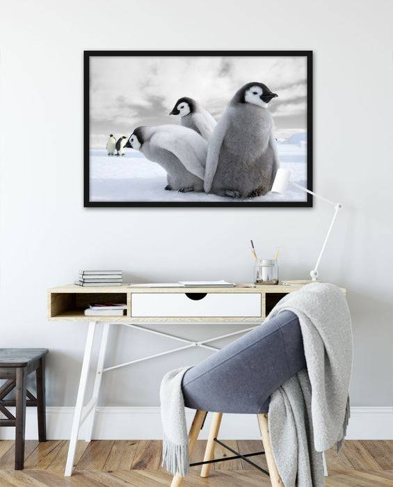 Pixxprint Kaiserpinguin Gruppe, Poster mit Bilderrahmen Kauf eins, bekomm eins gratis