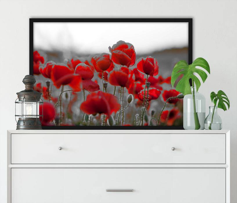 Pixxprint Feuriger Mohn, Poster mit Bilderrahmen VIP-Rabatte
