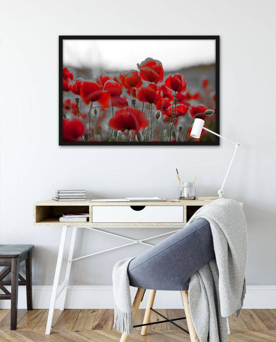 Pixxprint Feuriger Mohn, Poster mit Bilderrahmen VIP-Rabatte