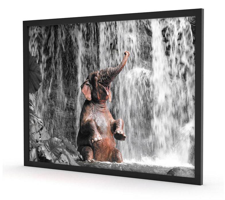 Pixxprint Babyelefant am Wasserfall, Poster mit Bilderrahmen Super Sparpreis