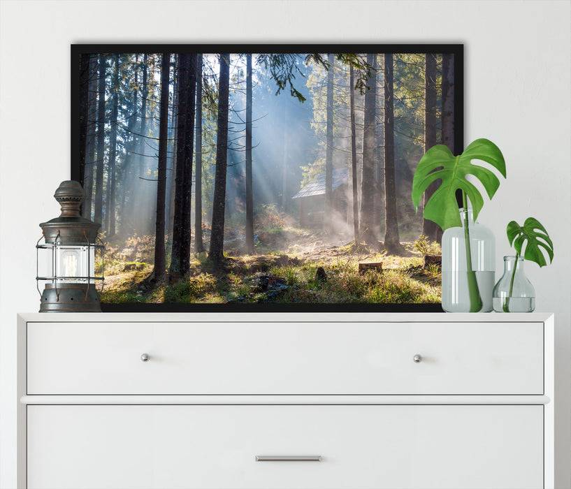 Pixxprint Sonnenstrahlen im Wald, Poster mit Bilderrahmen Wochenangebot