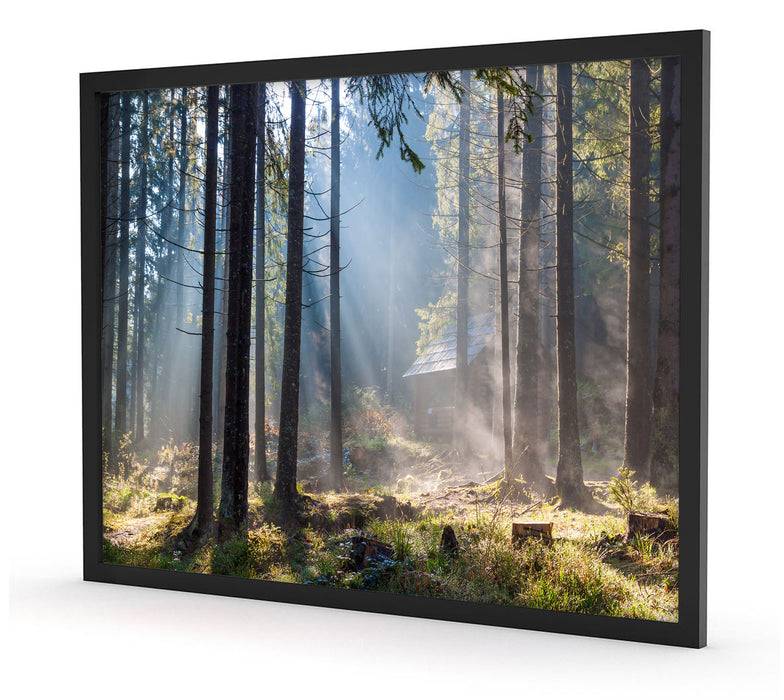 Pixxprint Sonnenstrahlen im Wald, Poster mit Bilderrahmen Wochenangebot