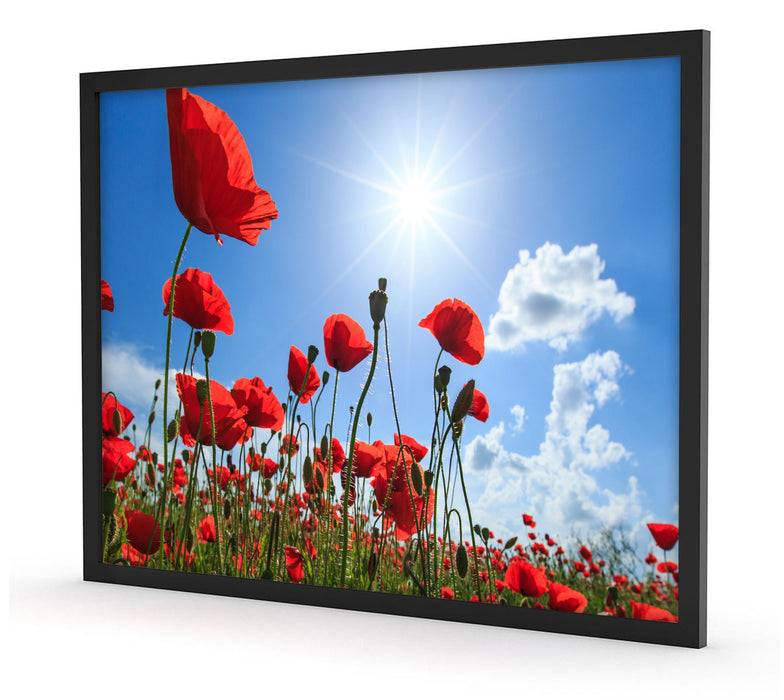 Pixxprint Mohnblumen, Poster mit Bilderrahmen Kostenlose Rückgabe
