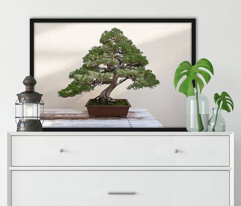 Pixxprint Bonsai Baum, Poster mit Bilderrahmen Bis zu 50% Rabatt