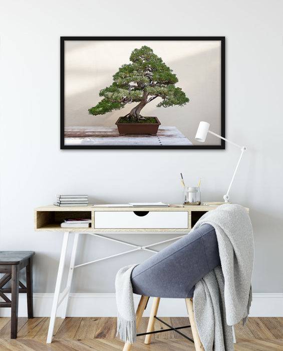 Pixxprint Bonsai Baum, Poster mit Bilderrahmen Bis zu 50% Rabatt