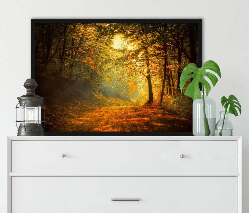 Pixxprint Wald, Poster mit Bilderrahmen Bis zu 55% Rabatt
