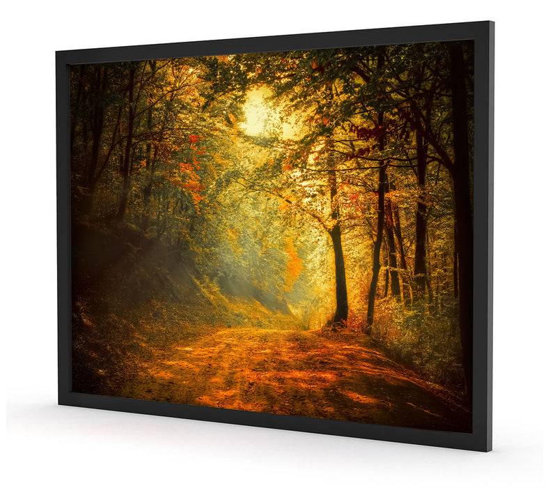 Pixxprint Wald, Poster mit Bilderrahmen Bis zu 55% Rabatt