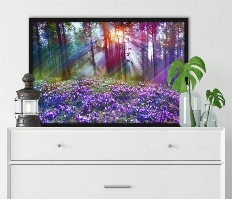 Pixxprint Krokusse im Wald, Poster mit Bilderrahmen Discount Store für neue Produkte