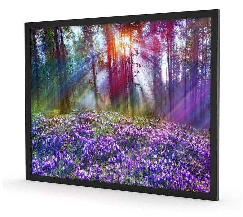 Pixxprint Krokusse im Wald, Poster mit Bilderrahmen Discount Store für neue Produkte