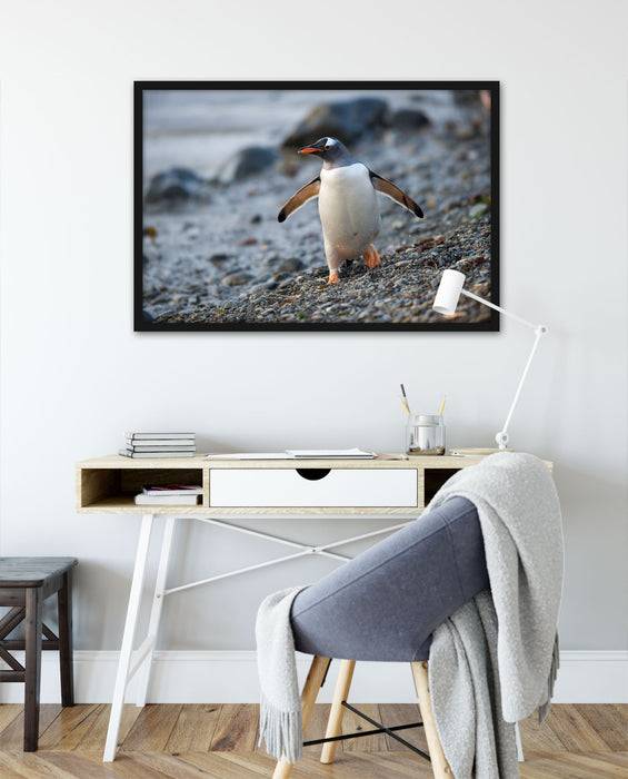 Pixxprint Pinguine, Poster mit Bilderrahmen Hotsell