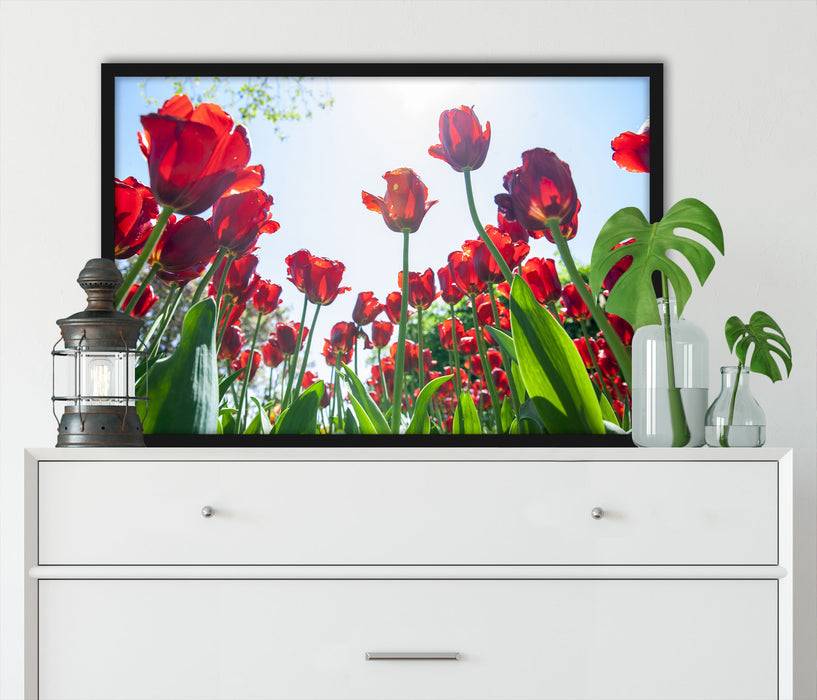 Pixxprint Tulpenfeld, Poster mit Bilderrahmen Blitzverkäufe