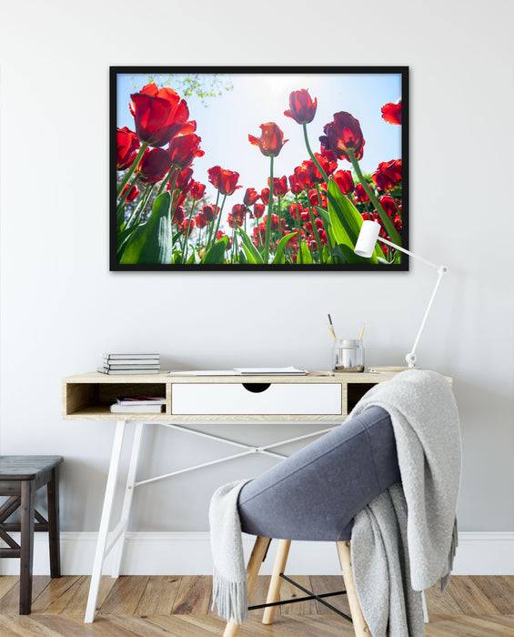 Pixxprint Tulpenfeld, Poster mit Bilderrahmen Blitzverkäufe