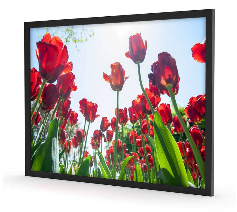 Pixxprint Tulpenfeld, Poster mit Bilderrahmen Blitzverkäufe