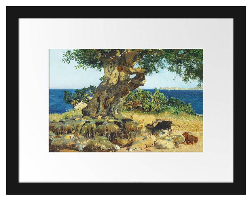 Pixxprint Joaquín Sorolla - Johannisbrotbaum Algarrobo, im Galerie-Passepartout Bilderrahmen Großer Ausverkauf