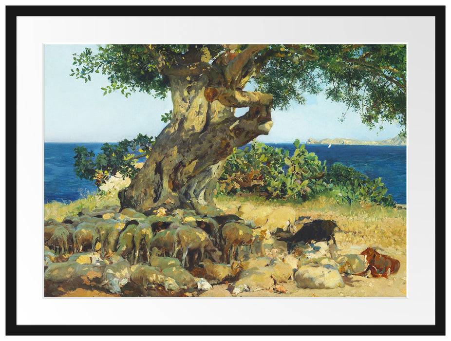 Pixxprint Joaquín Sorolla - Johannisbrotbaum Algarrobo, im Galerie-Passepartout Bilderrahmen Großer Ausverkauf
