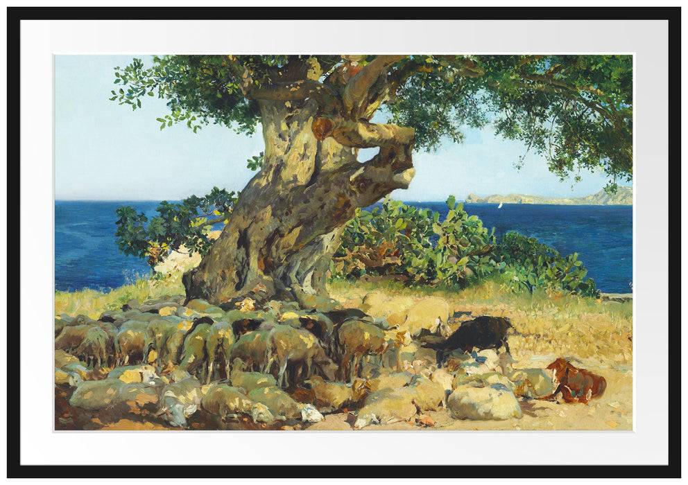 Pixxprint Joaquín Sorolla - Johannisbrotbaum Algarrobo, im Galerie-Passepartout Bilderrahmen Großer Ausverkauf