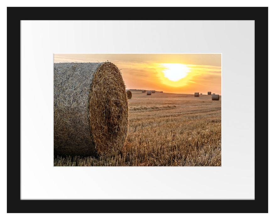 Pixxprint Strohballen auf Feld, im Galerie-Passepartout Bilderrahmen Saisonale Angebote