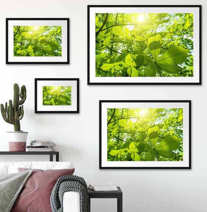 Pixxprint Grüne Bläter, im Galerie-Passepartout Bilderrahmen Räumungsverkauf