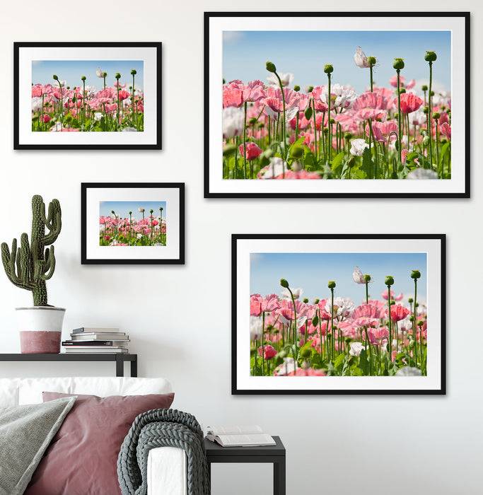 Pixxprint Blumenwiese Mohnblumen, im Galerie-Passepartout Bilderrahmen Kauf eins, bekomm eins gratis