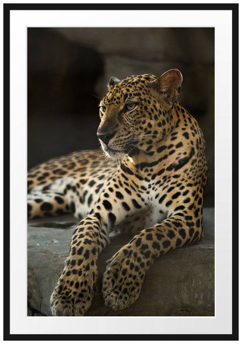 Pixxprint Majestäischer Leopard, im Galerie-Passepartout Bilderrahmen