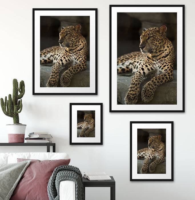 Pixxprint Majestäischer Leopard, im Galerie-Passepartout Bilderrahmen JETZT KAUFEN