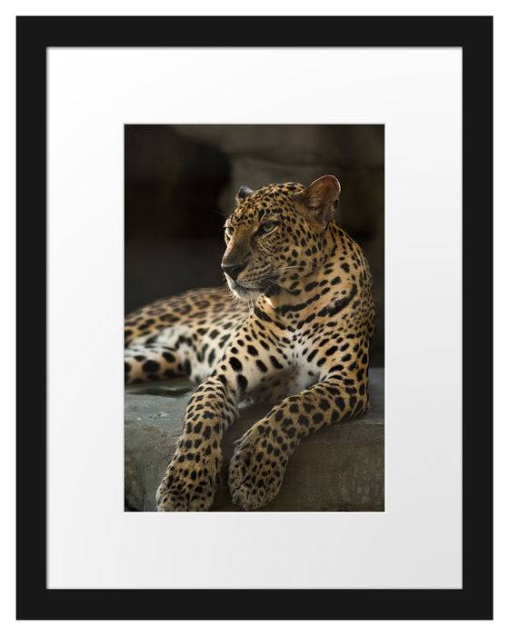 Pixxprint Majestäischer Leopard, im Galerie-Passepartout Bilderrahmen JETZT KAUFEN