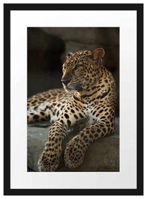 Pixxprint Majestäischer Leopard, im Galerie-Passepartout Bilderrahmen JETZT KAUFEN