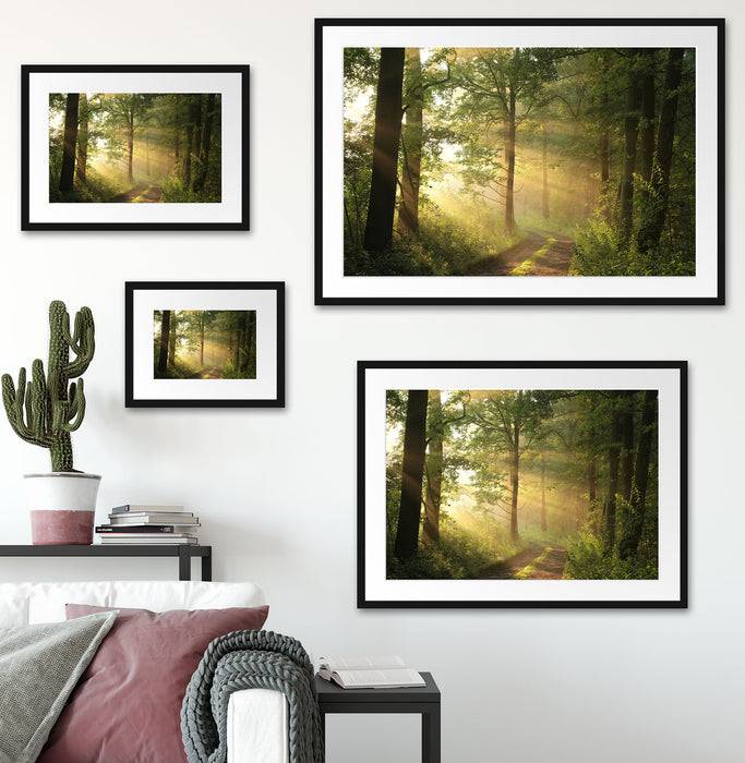 Pixxprint Waldweg, im Galerie-Passepartout Bilderrahmen Letzter Tag