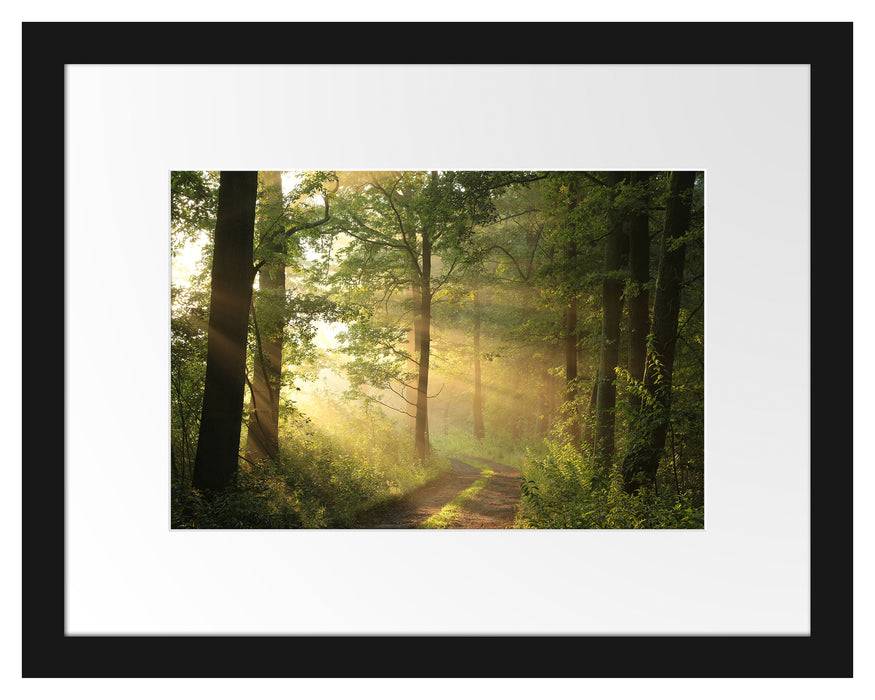 Pixxprint Waldweg, im Galerie-Passepartout Bilderrahmen Letzter Tag