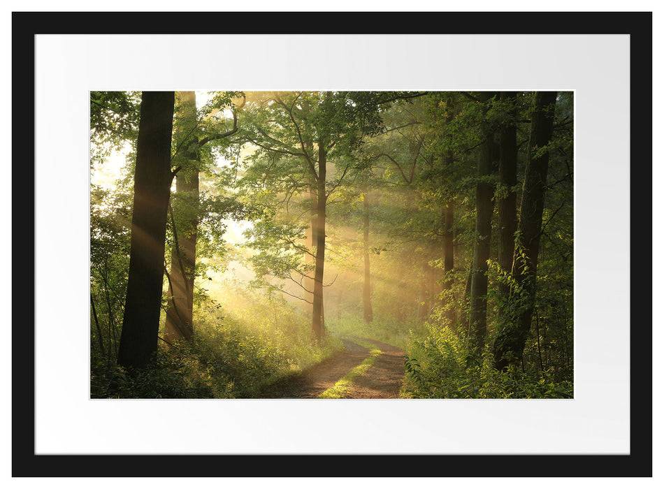 Pixxprint Waldweg, im Galerie-Passepartout Bilderrahmen Letzter Tag