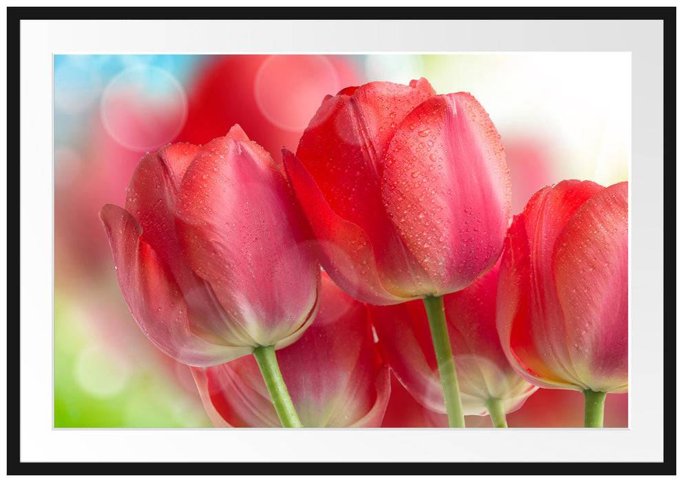 Pixxprint Rote Tulpen, im Galerie-Passepartout Bilderrahmen