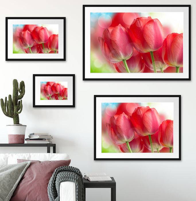 Pixxprint Rote Tulpen, im Galerie-Passepartout Bilderrahmen Zeitbegrenzte Promotion