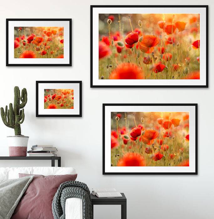 Pixxprint Rote Mohnwiese, im Galerie-Passepartout Bilderrahmen Fabrikladen