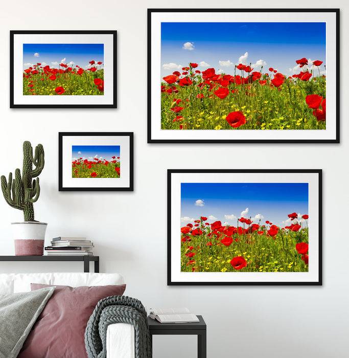Pixxprint Mohnwiese, im Galerie-Passepartout Bilderrahmen 50% Rabatt für begrenzte Zeit