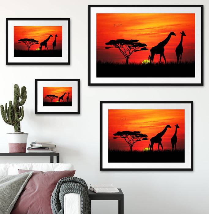 Pixxprint Afrika Giraffen im Sonnenuntergang, im Galerie-Passepartout Bilderrahmen Rabatte dieses Monats