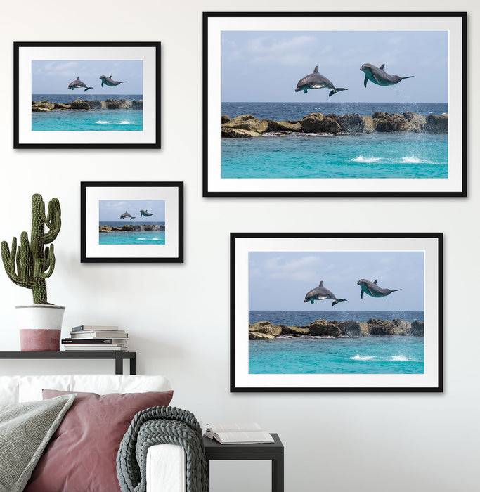 Pixxprint springende Delphine, im Galerie-Passepartout Bilderrahmen 2025