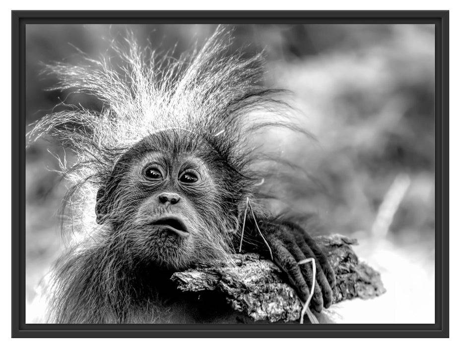 Pixxprint Lustiger Baby Orang-Utan mit Rinde, Monochrome, im Schwebe-Effekt Bilderrahmen Saisonschlussverkauf