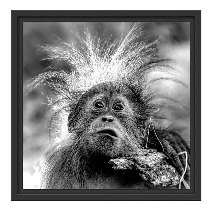 Pixxprint Lustiger Baby Orang-Utan mit Rinde, Monochrome, im Schwebe-Effekt Bilderrahmen Saisonschlussverkauf
