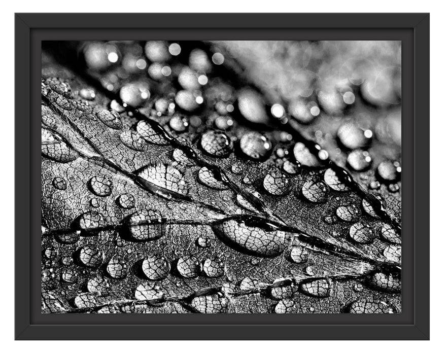 Pixxprint Nahaufnahme Wassertropfen auf Blatt, Monochrome, im Schwebe-Effekt Bilderrahmen