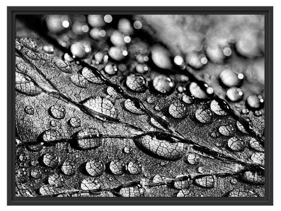 Pixxprint Nahaufnahme Wassertropfen auf Blatt, Monochrome, im Schwebe-Effekt Bilderrahmen Weihnachtsangebot