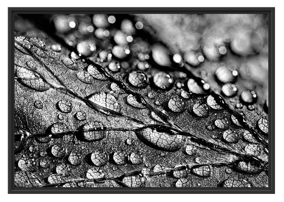 Pixxprint Nahaufnahme Wassertropfen auf Blatt, Monochrome, im Schwebe-Effekt Bilderrahmen Weihnachtsangebot