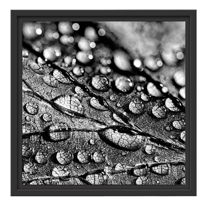 Pixxprint Nahaufnahme Wassertropfen auf Blatt, Monochrome, im Schwebe-Effekt Bilderrahmen Weihnachtsangebot