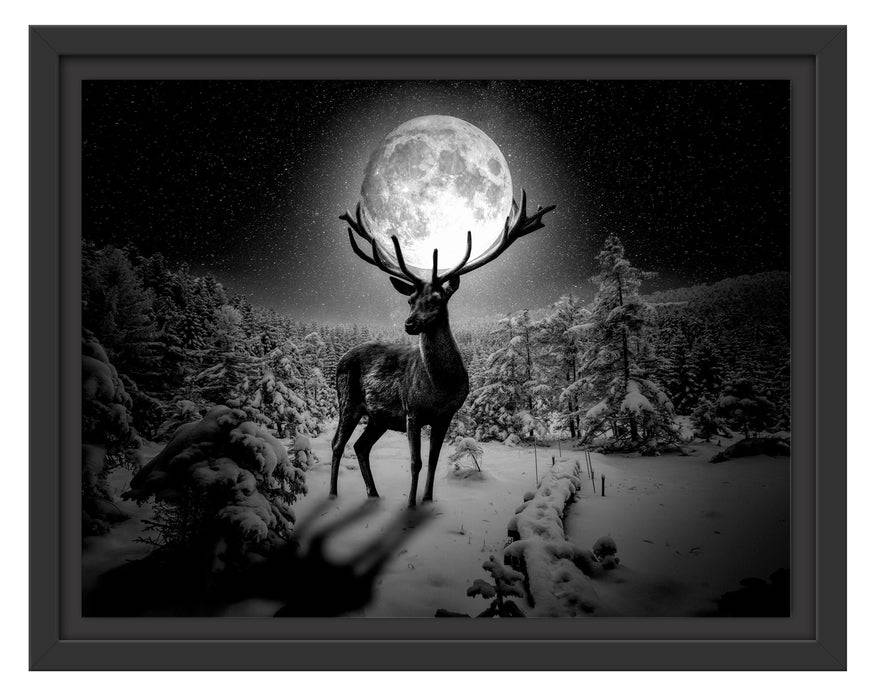 Pixxprint Rentier im Winterwald bei Mondschein, Monochrome, im Schwebe-Effekt Bilderrahmen